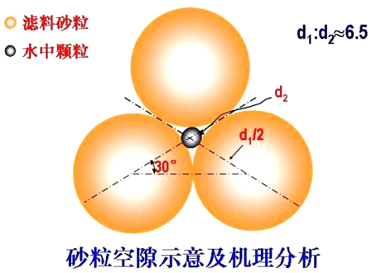 砂?？障妒疽饧皺C理分析